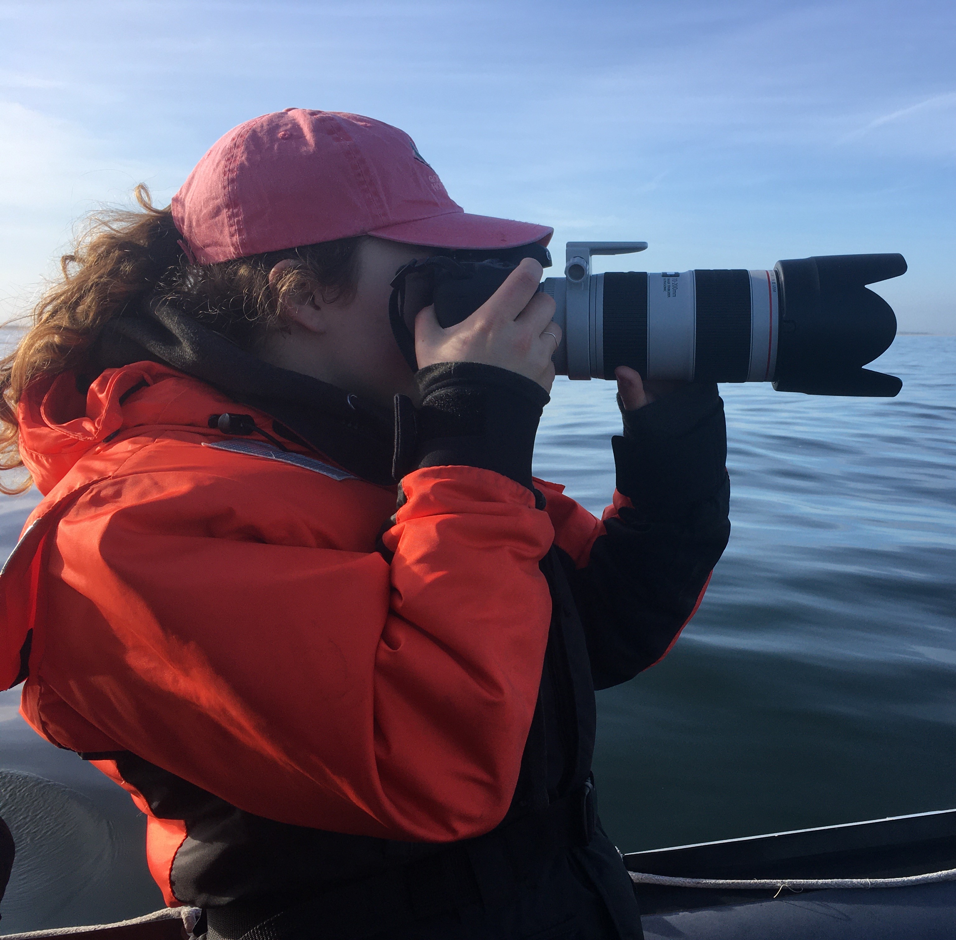 Gray Whale Ecology and Body Condition
