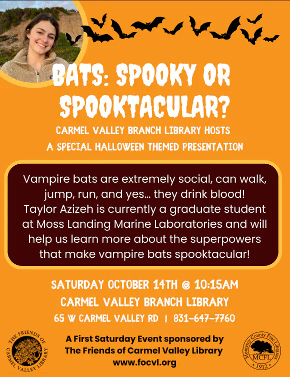 Bats Spooky or Spooktacular? Taylor Azizeh