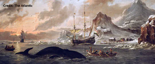 Synthesis of historical whaling catch records of southern right whales in the Indo-Pacific